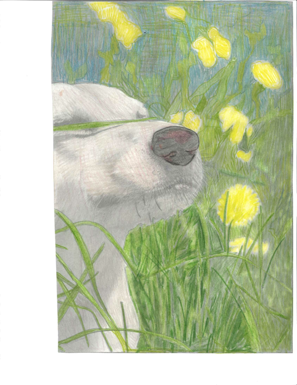 Artwork by Savannah W. Tennessee