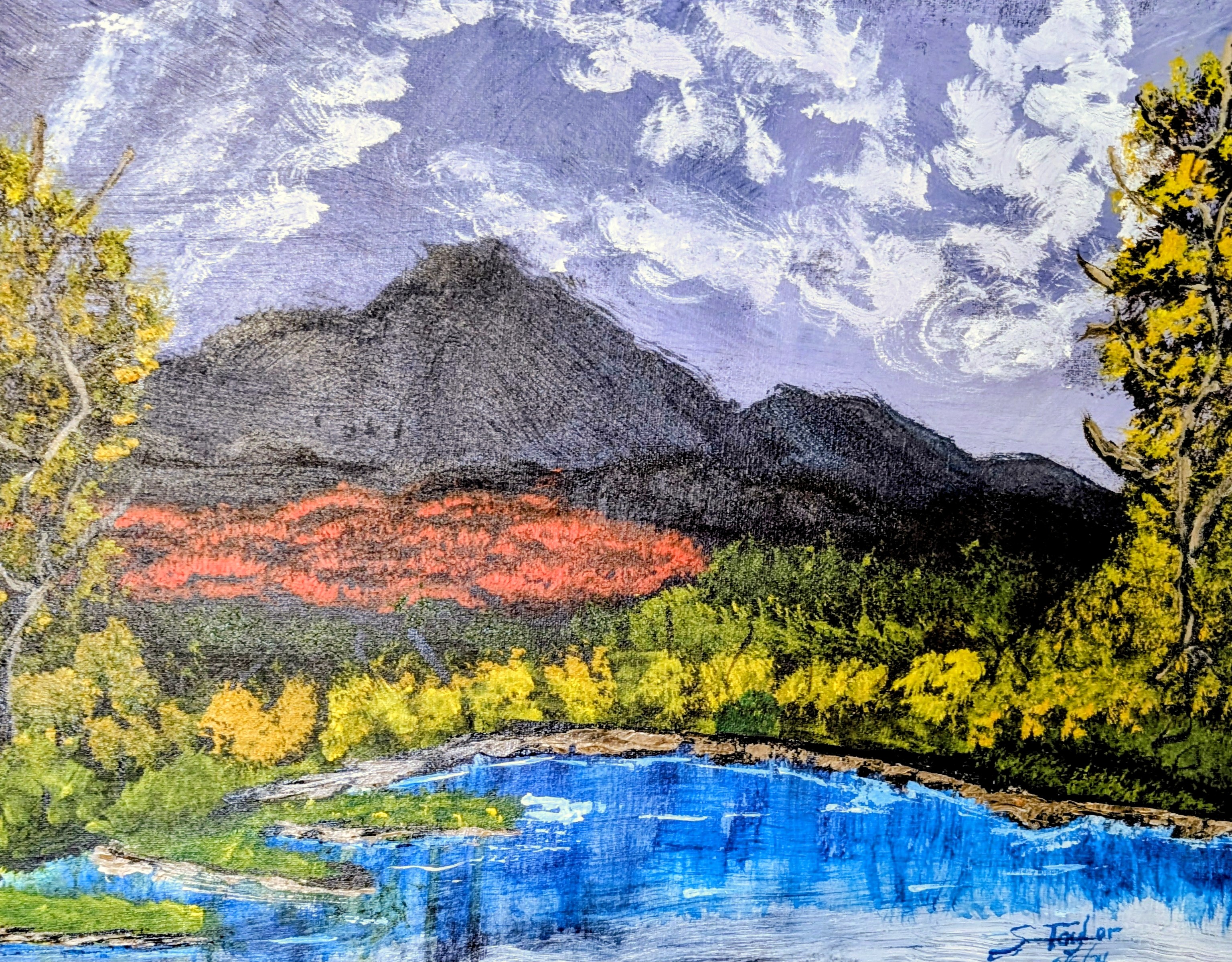 Artwork by Susan T. Massachusetts