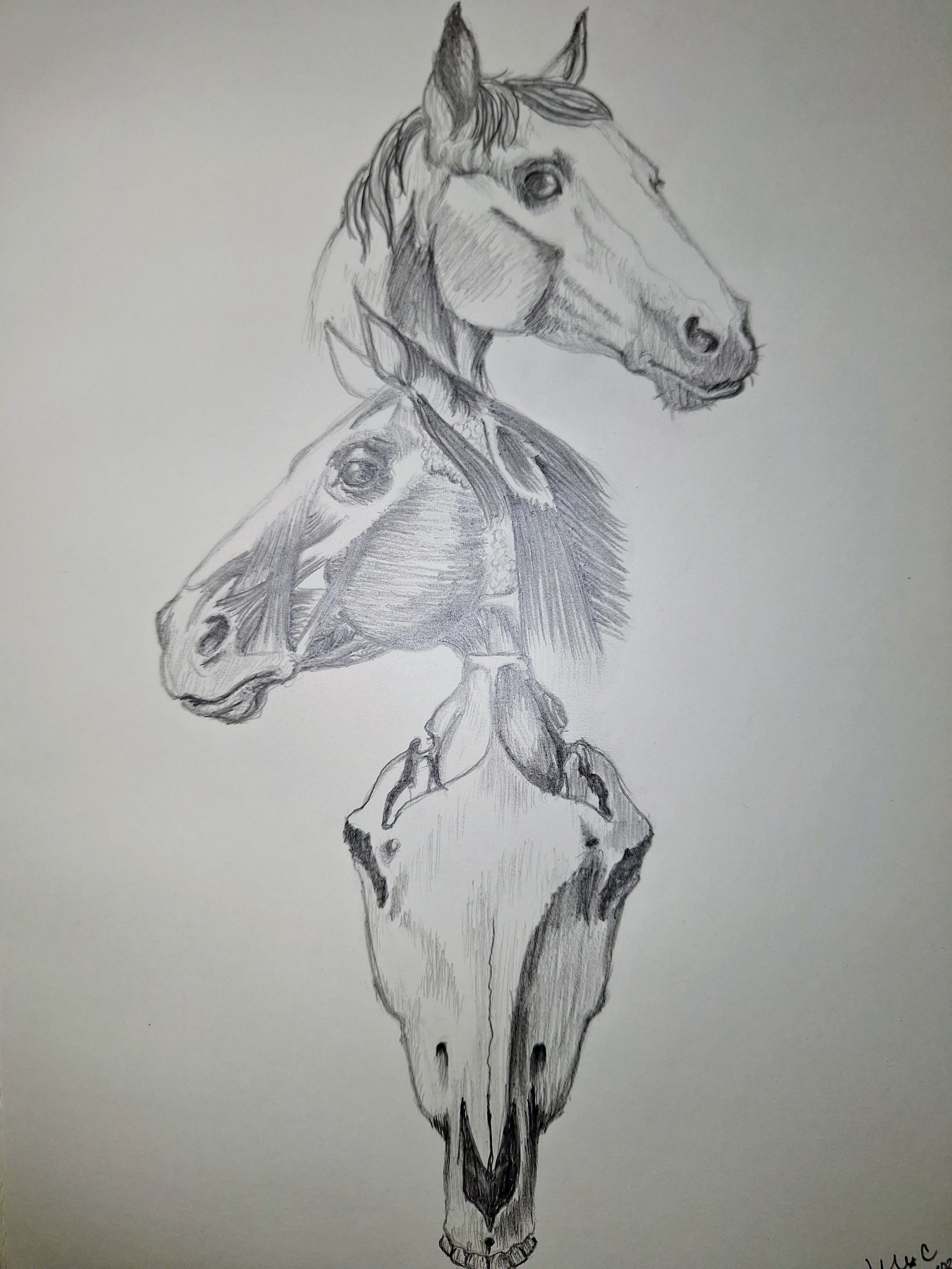 Artwork by Victoria C. - Colorado